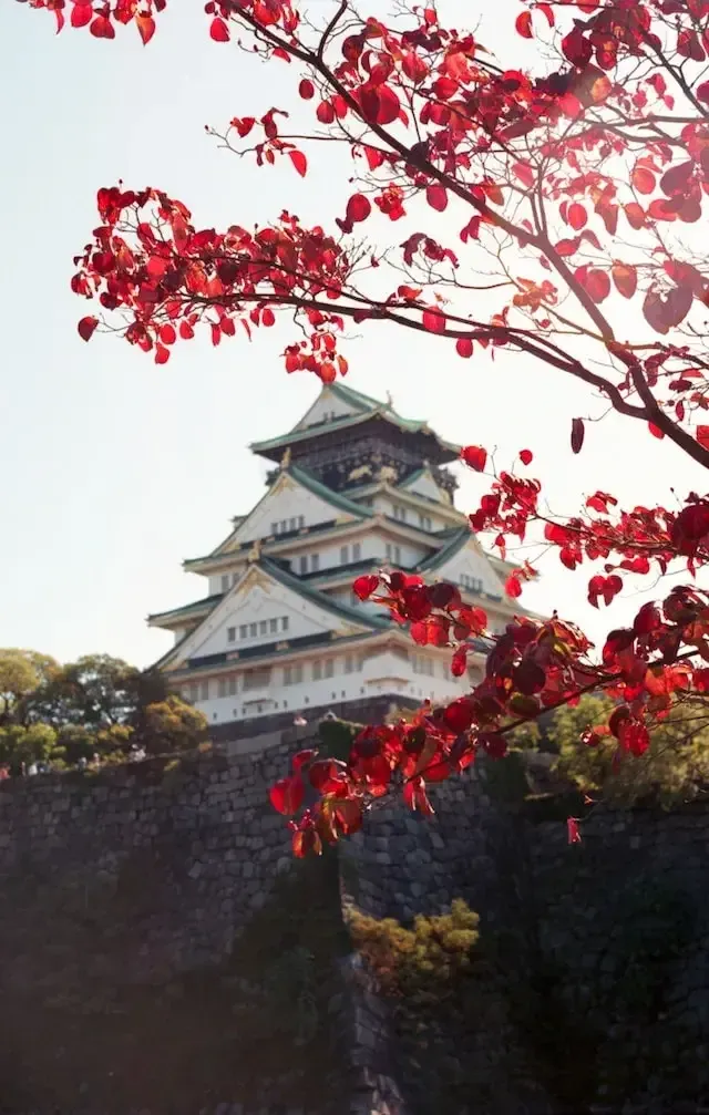 Osaka Castle